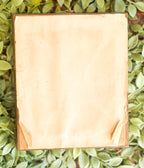 Vintage Florentine-Style Portrait Plaque