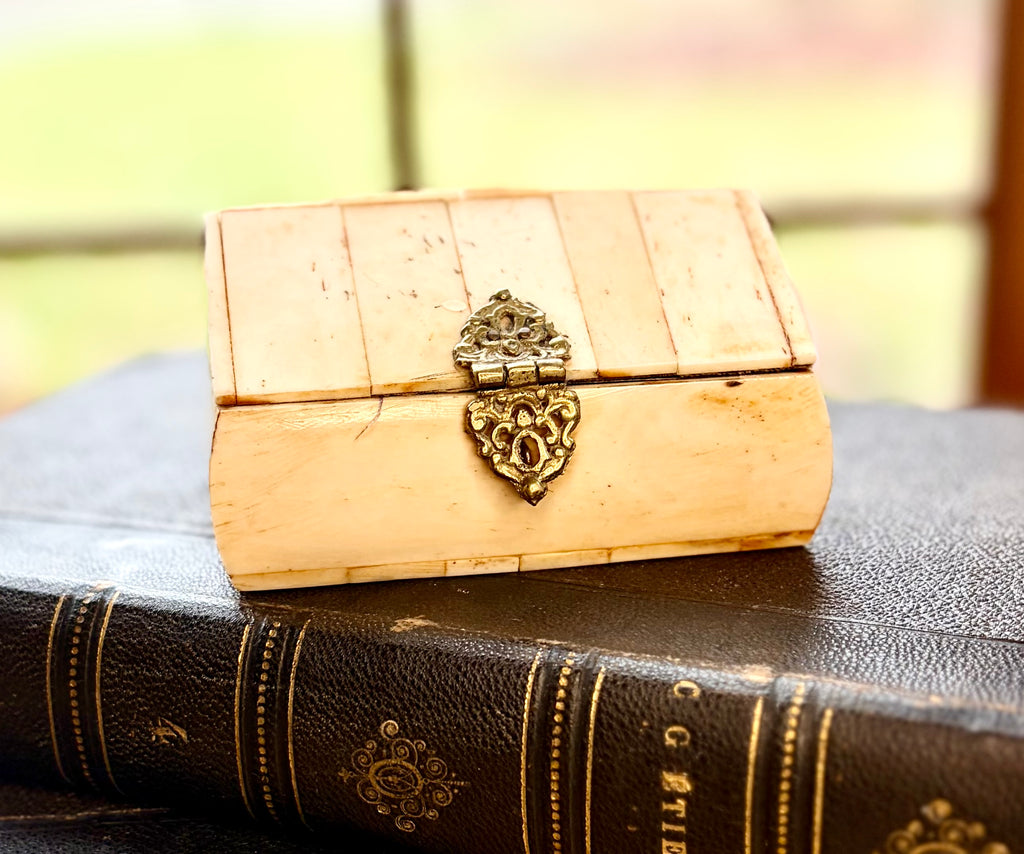 Antique Bone Trinket Box with Brass Clasp