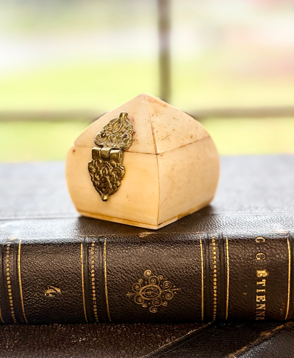 Mini Antique Bone Trinket Box