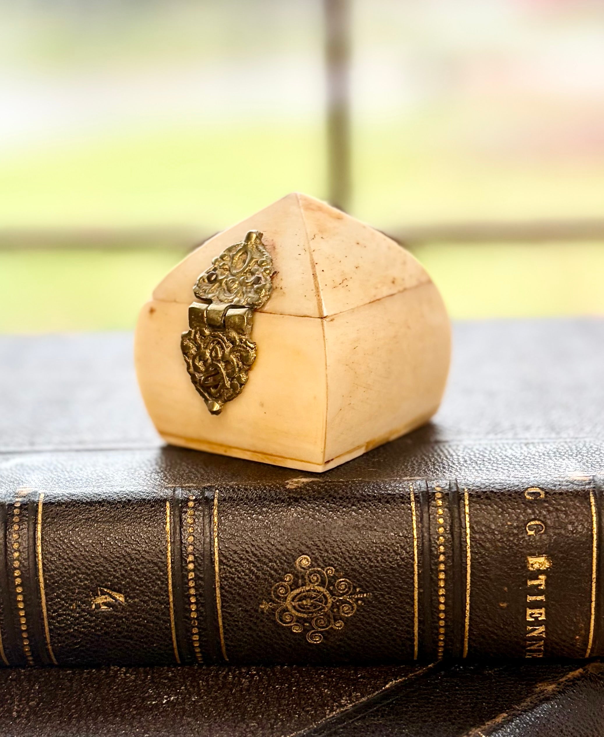 Mini Antique Bone Trinket Box