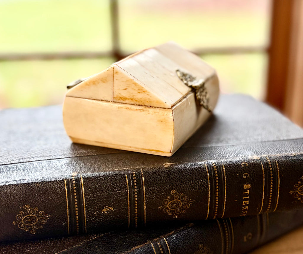 Antique Bone Trinket Box with Brass Clasp