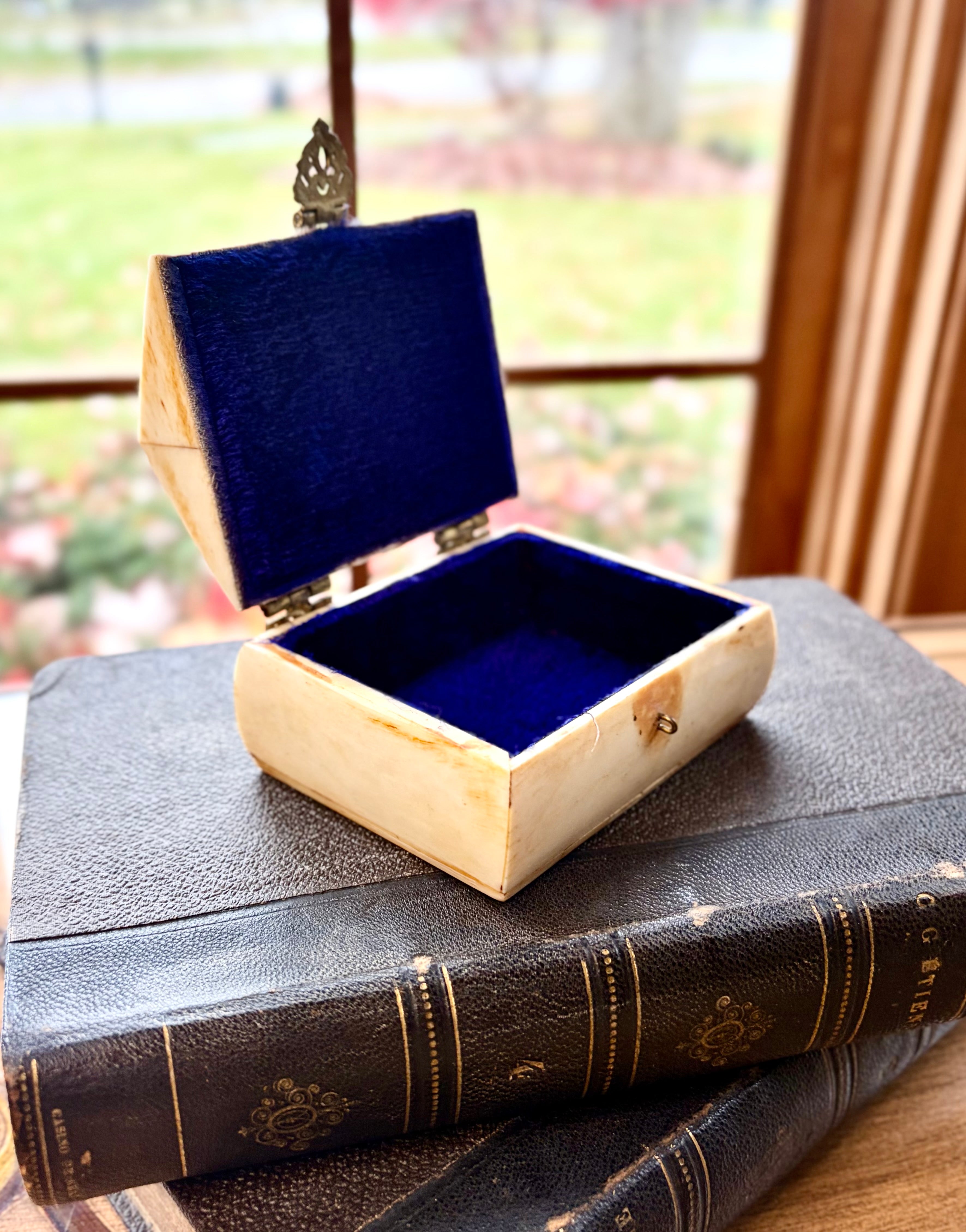 Antique Bone Trinket Box with Brass Clasp