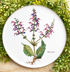 Villeroy & Boch Botanica “Salvia pratensis” Round Serving Platter | Vintage Botanical Porcelain