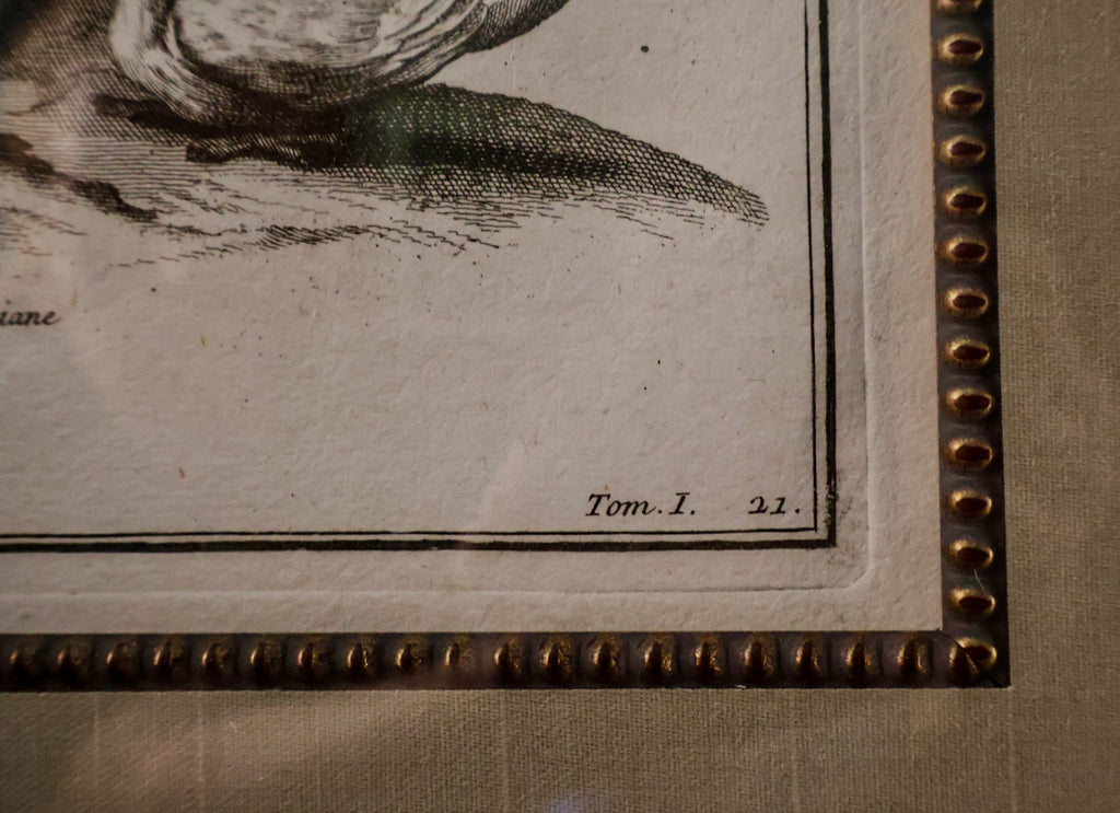 Original 19th-Century Juno Engraving | Framed Neoclassical Art