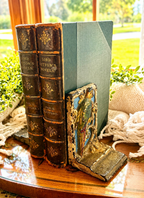 Antique Hubley Cast Iron Parrot Bookends